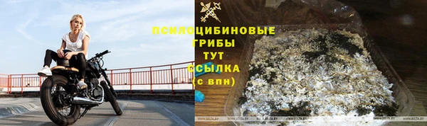 COCAINE Алзамай